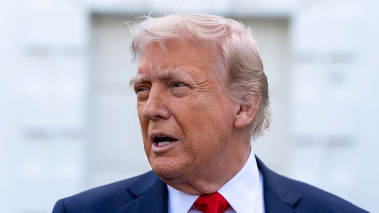 Donald Trump at the White House. Pic: AP